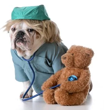 Veterinary care Stock Photos