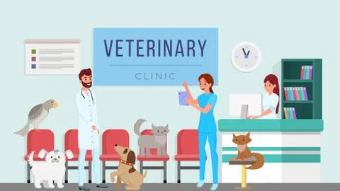 Veterinary clinic flat vector illustration. Vets, professional veterinarians 스톡 일러스트