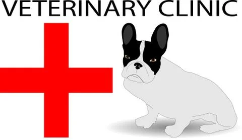 Veterinary clinic Stock Illustration