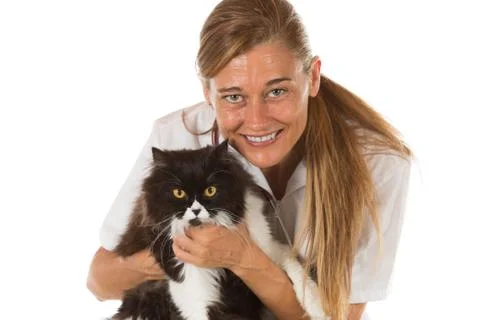 Veterinary clinic with a kitten Stock Photos