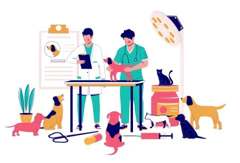 Veterinary clinic services, vector flat style design illustration Stock Illustration