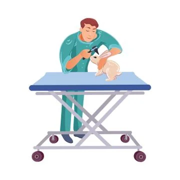 Veterinary doctor examining the rabbit on the table in the vet clinic. Vector Illustrazione stock