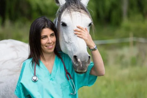 Veterinary on a farm Stock-Fotos