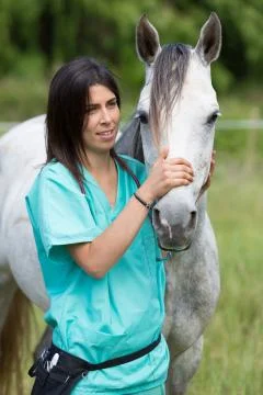 Veterinary on a farm Stock Photos