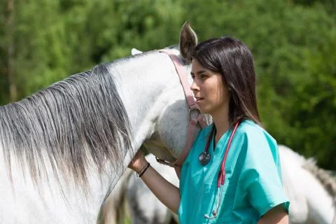 Veterinary on a farm Stock Photos