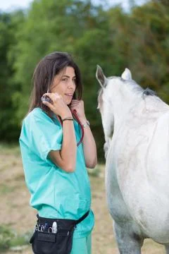 Veterinary on a farm Stock-Fotos