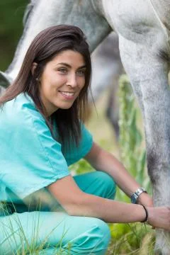 Veterinary on a farm Stock Photos