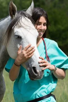 Veterinary on a farm Stock-Fotos