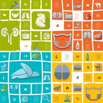 Veterinary flat infographic 스톡 일러스트