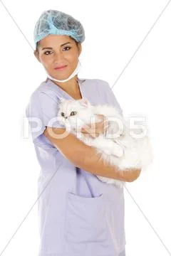 Veterinary holding cat Stock Photos