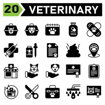 Veterinary icon set include carrier, vet, pet, box, cat, dog, calendar, appoi Stock Illustration