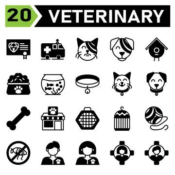 Veterinary icon set include certificate, vaccine, animal, pet, dog , ambulanc Stock Illustration