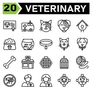Veterinary icon set include certificate, vaccine, animal, pet, dog , ambulanc Illustrazione stock