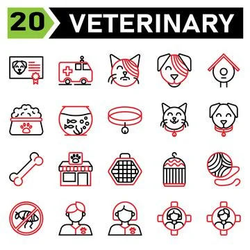 Veterinary icon set include certificate, vaccine, animal, pet, dog , ambulanc Stock Illustration