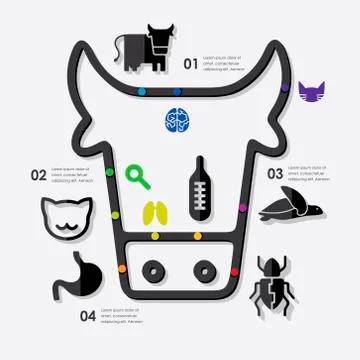 Veterinary infographic Stock Illustration