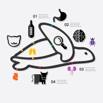 Veterinary infographic Stock Illustration