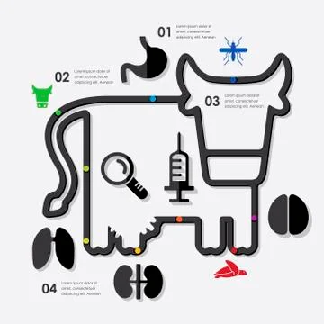 Veterinary infographic Stock Illustration