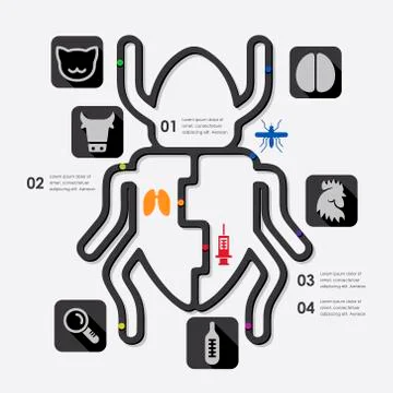 Veterinary infographic Stock Illustration