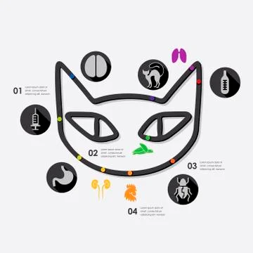 Veterinary infographic 스톡 일러스트