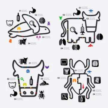Veterinary infographic 스톡 일러스트