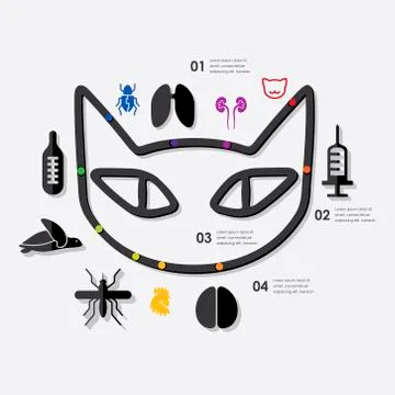 Veterinary infographic Stock Illustration