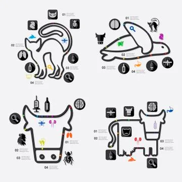 Veterinary infographic Stock Illustration