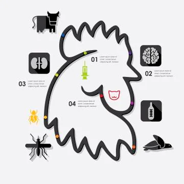 Veterinary infographic 스톡 일러스트