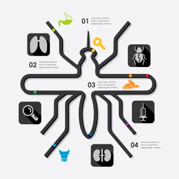 Veterinary infographic 스톡 일러스트