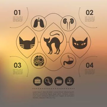 Veterinary infographic with unfocused background 스톡 일러스트