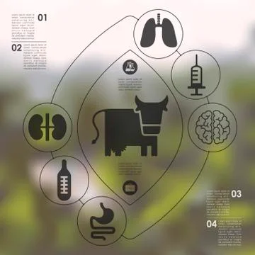 Veterinary infographic with unfocused background 스톡 일러스트