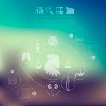 Veterinary infographic with unfocused background Stock Illustration