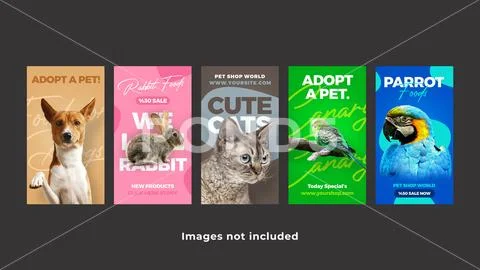 Veterinary Instagram Stories PSD Template