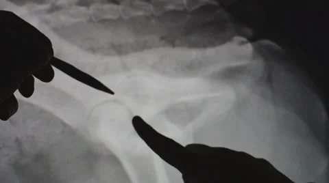 Veterinary Medicine Stock Footage 35514894