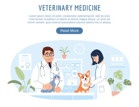 Veterinary medicine website template Stock Illustration