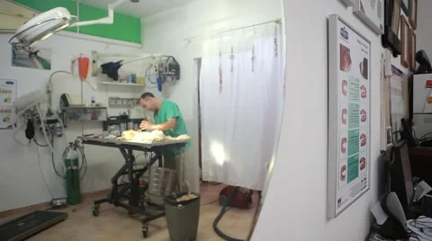 Veterinary mirror Vídeos de archivo 62824175