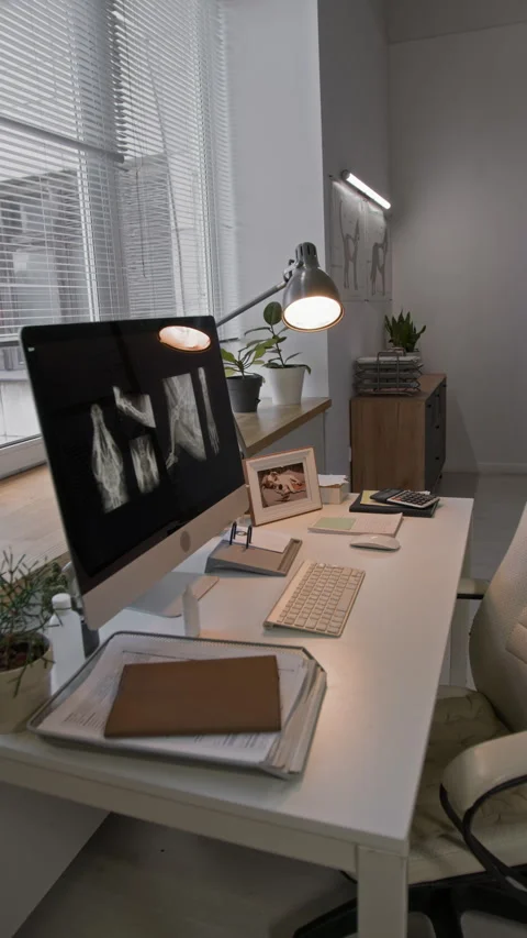 Veterinary Office Desk with X-Rays Displayed on Computer Monitor Stock Footage 304971223