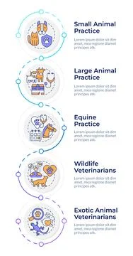 Veterinary practice categories infographic design template 库存插图