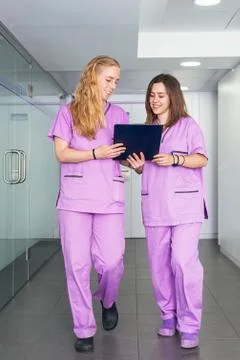 Veterinary professionals in the clinic. Stock Photos