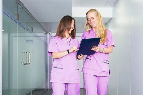 Veterinary professionals in the clinic. Stock Photos