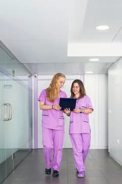 Veterinary professionals in the clinic. Stock Photos