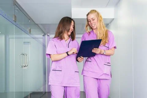 Veterinary professionals in the clinic. Stock Photos