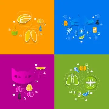 Veterinary sticker infographic Stock Illustration