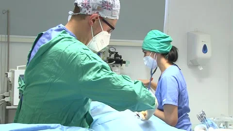 Veterinary Surgeon Performing Operation on Dog Vídeos de archivo 343879234
