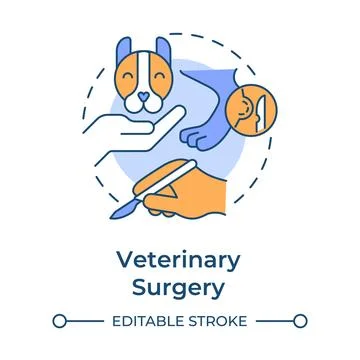 Veterinary surgery flat linear concept icon Stock Illustration