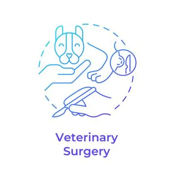 Veterinary surgery gradient outline concept icon Stock Illustration