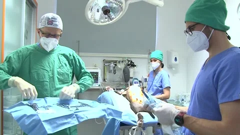 Veterinary Surgical Team Operating on Anesthetized Dog Vídeos de archivo 343877266