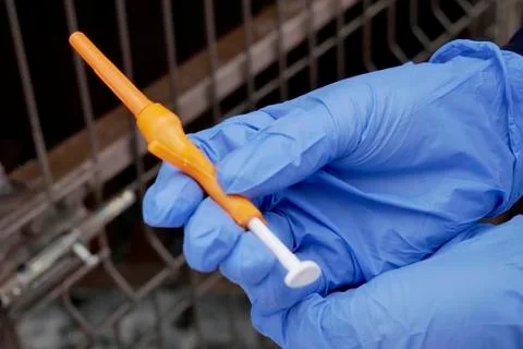 Veterinary syringe in the hands Stock Photos