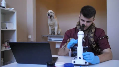Veterinary worker using microscope at pet clinic Stock Footage 92049738
