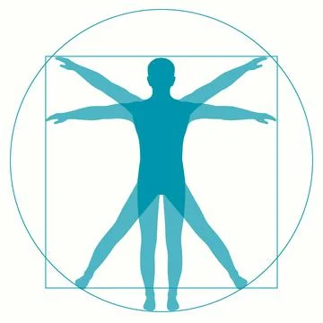 Vetruvian Man Stock Illustration