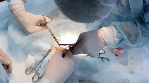 Vets doing the operation for the cat on the operating table in a local clinic Video stock 129890435